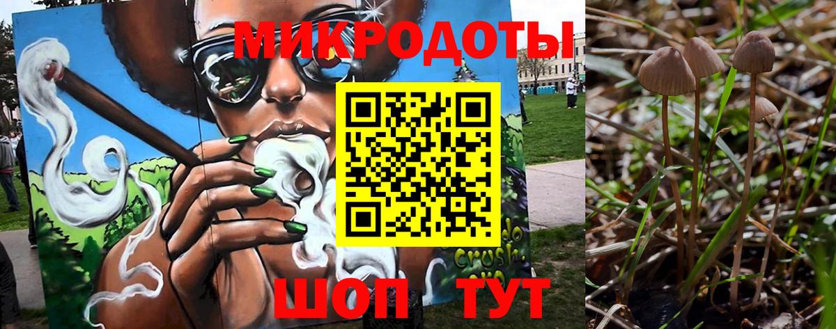 Йошкар-Ола  Галлюциногенные грибы Cubensis  Вход с VPN 